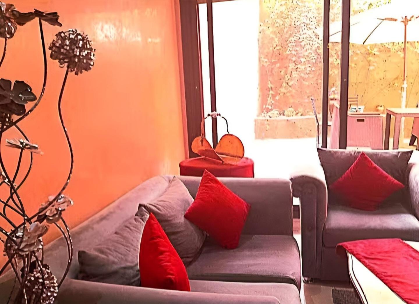 Oasis Design Terrasse Vegetale Netflix 300 M Du Majorelle