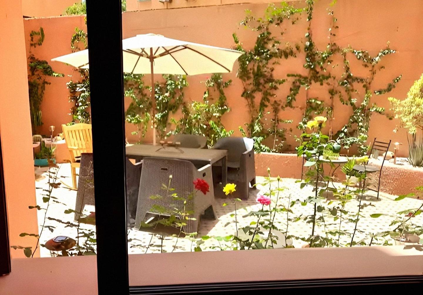 Oasis Design Terrasse Vegetale Netflix 300 M Du Majorelle